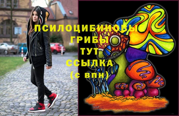 гидра Лихославль